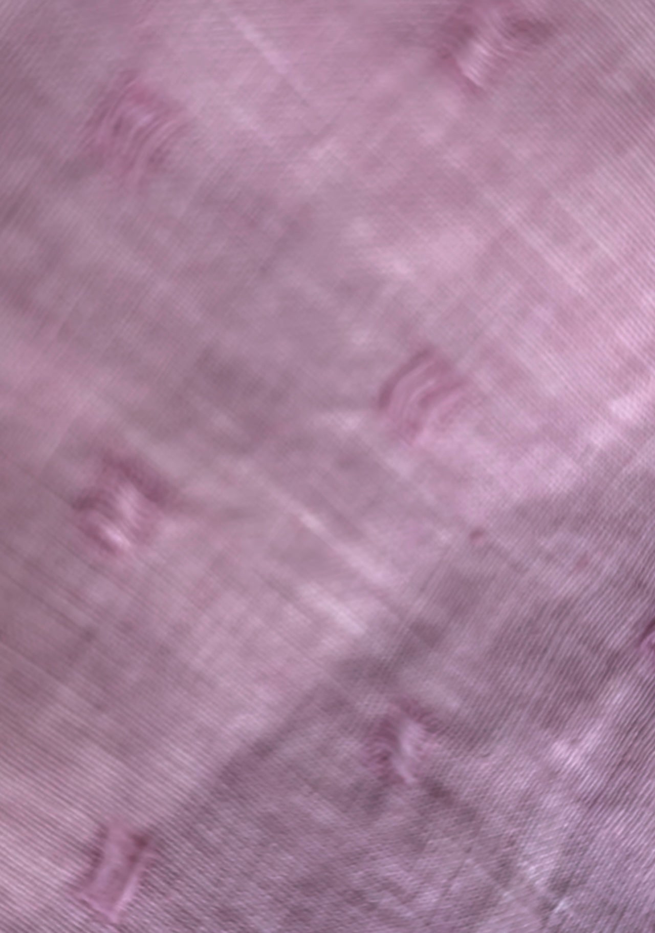 Dream Skyla Top